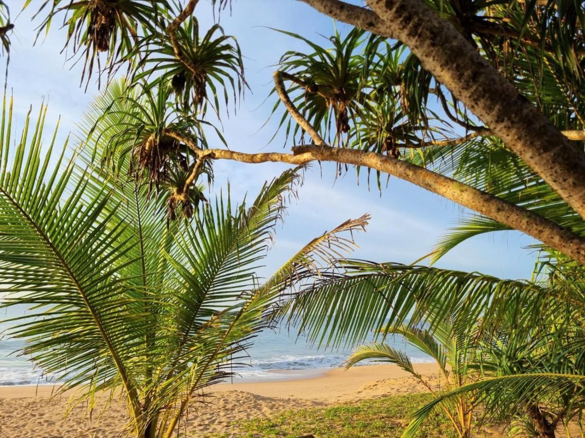 Golden Beach Paradise Tangalle Bagian luar foto